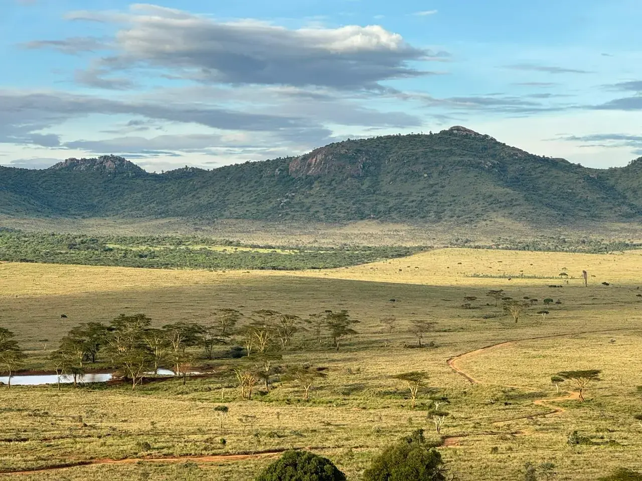 Pastoral communities