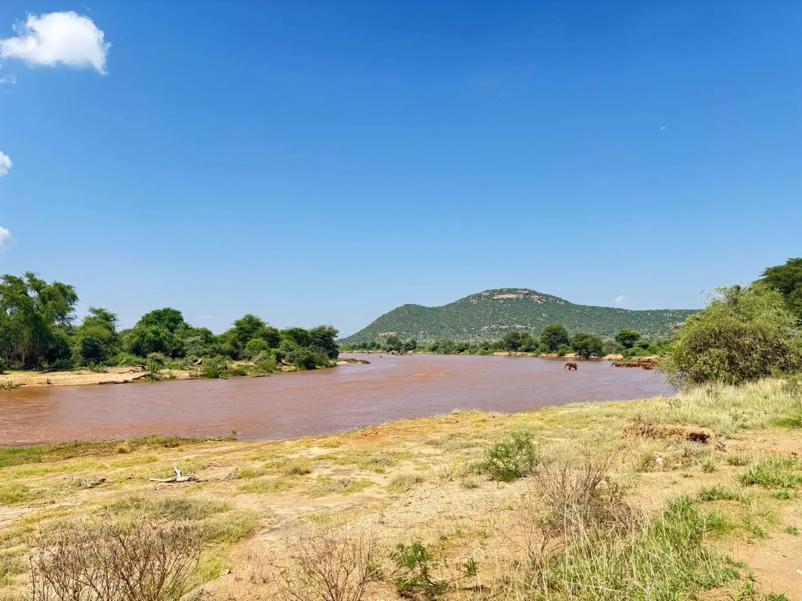 Rangeland restoration