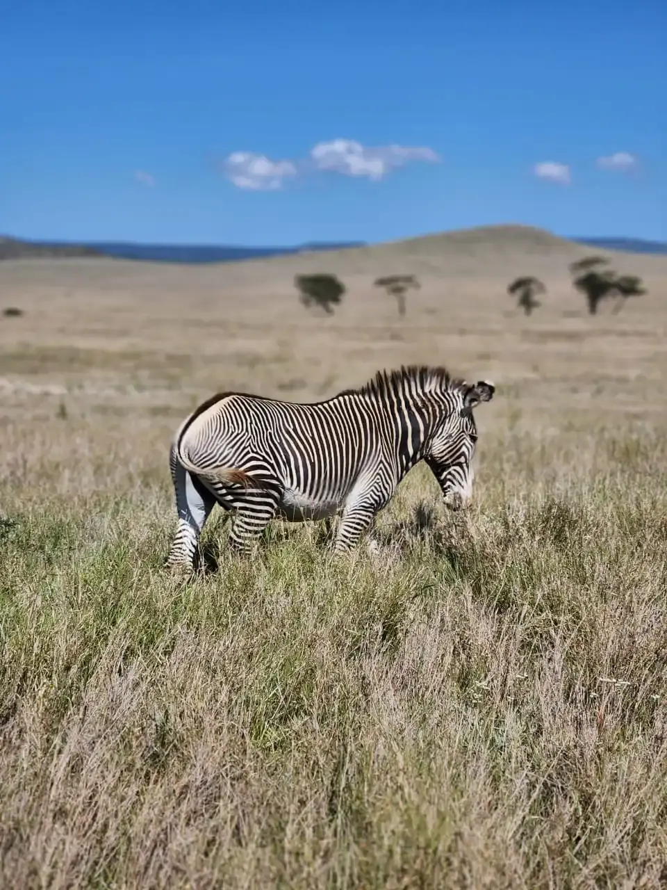 Conservation of Biodiversity